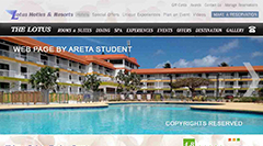 Web Design & Development